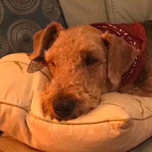 Meet your Posher, Darlene